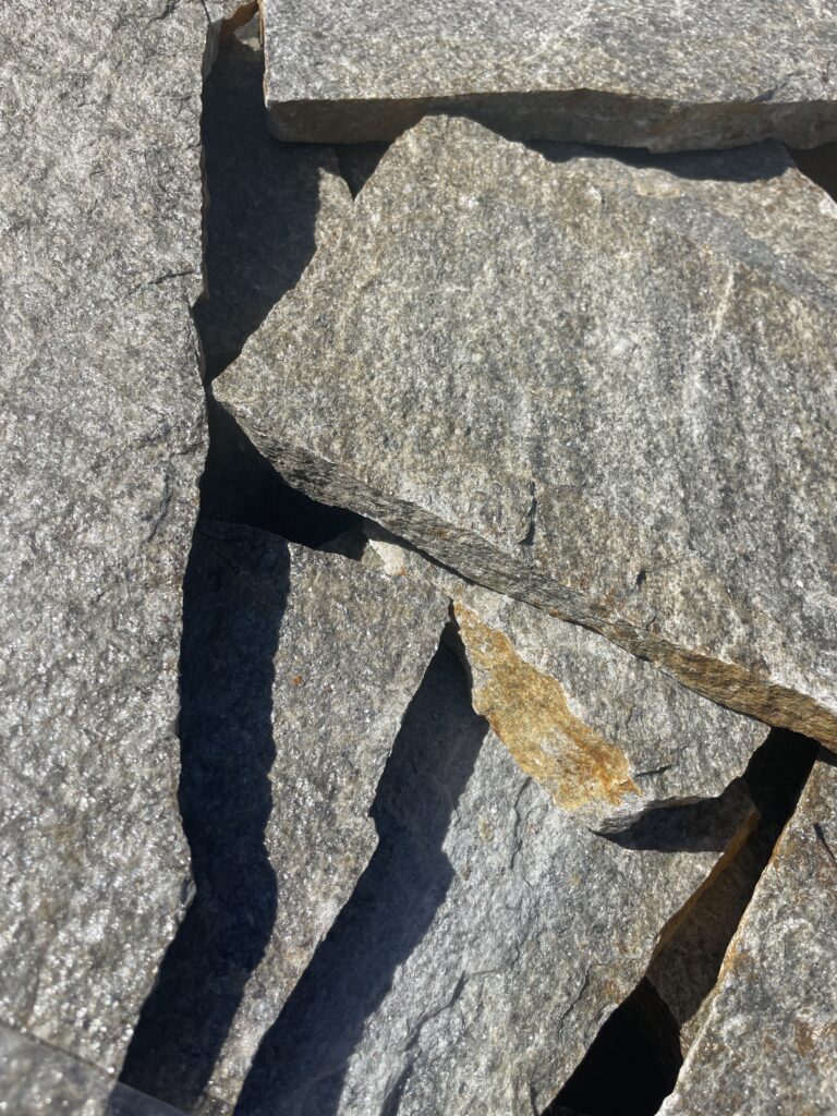img 0352
