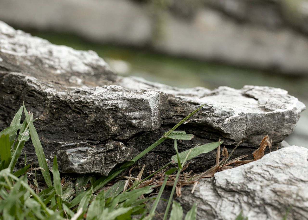 Mastering the First Impression: Your intriguing post title goes here Detailed close-up of textured rocks with vibrant green grass, showcasing natural outdoor elements.