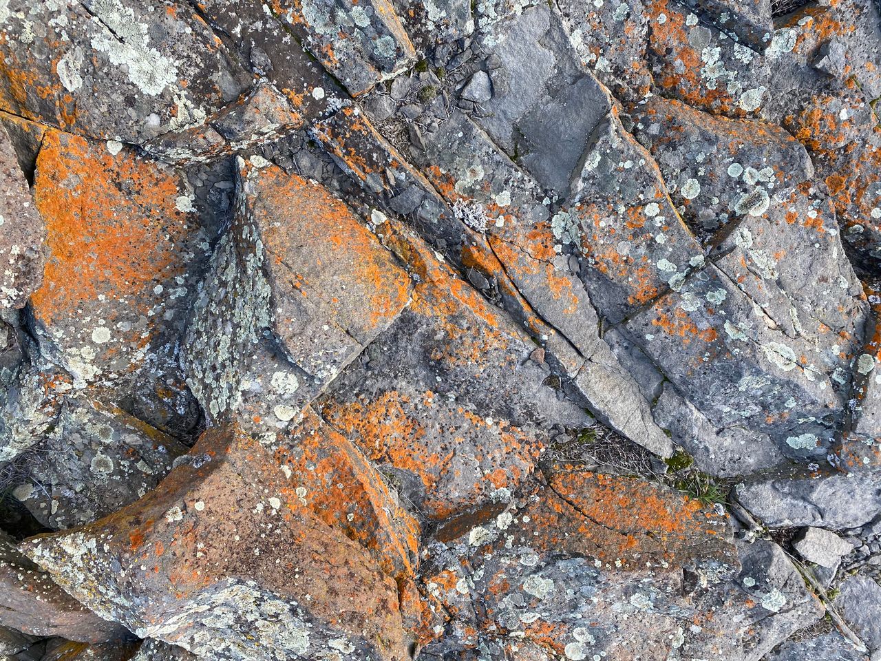 The Art of Drawing Readers In: Your attractive post title goes here Top view of rough natural rock surface with cracks and orange rust as abstract background